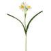 18.1" Narcissus Daffodil Silk Flower Stem -White/Yellow (Pack of 24) - FSD230-WH/YE