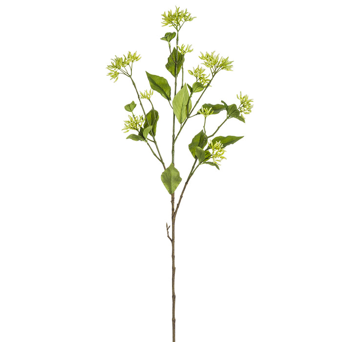 36" Artificial Dogwood Seed Flower Stem -Cream/Green (pack of 12) - FSD236-CR/GR