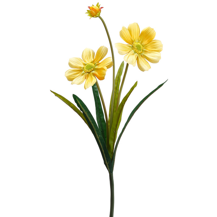 20.5" Silk Gazania Daisy Flower Stem -Yellow (pack of 12) - FSD250-YE