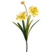 20.5" Silk Gazania Daisy Flower Stem -Yellow (pack of 12) - FSD250-YE