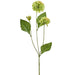 20" Dahlia Silk Flower Stem -Green (Pack of 12) - FSD273-GR