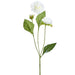 20" Dahlia Silk Flower Stem -White (Pack of 12) - FSD273-WH