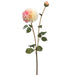 31" Silk Dahlia Flower Stem -Pink/Cream (pack of 12) - FSD291-PK/CR