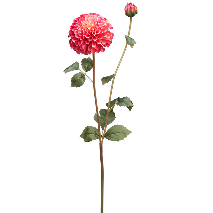 31" Silk Dahlia Flower Stem -2 Tone Rose (pack of 12) - FSD291-RO/TT