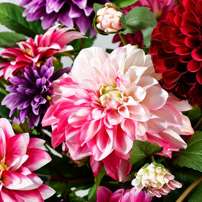 23.5" Silk Dahlia Flower Stem -Pink/Cream (Pack of 12) - FSD293-PK/CR