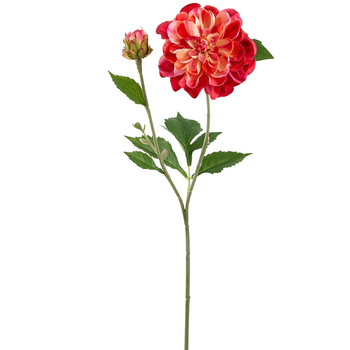 22.5" Dahlia Silk Flower Stem -Beauty/Yellow (Pack of 12) - FSD306-BT/YE