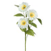 12" Silk Daisy Flower Stem -White (pack of 12) - FSD325-WH