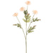 23.5" Daisy Silk Flower Stem -Cream (Pack of 12) - FSD381-CR