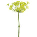 17" Dill Artificial Flower Stem -Yellow (pack of 6) - FSD401-YE