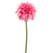 19" Dahlia Silk Flower Stem -Fuchsia (pack of 12) - FSD411-FU