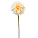 19" Dahlia Silk Flower Stem -Peach (pack of 12) - FSD411-PE