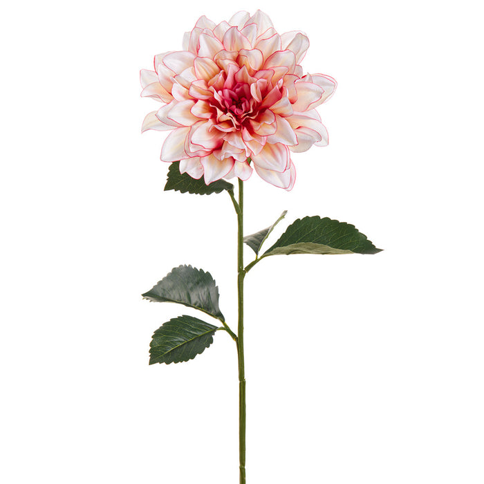 27" Dahlia Silk Flower Stem -Cream/Rubrum (Pack of 12) - FSD529-CR/RB