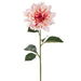 27" Dahlia Silk Flower Stem -Cream/Rubrum (Pack of 12) - FSD529-CR/RB