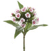 12.5" Silk Dianthus Flower Stem -White/Wine (pack of 12) - FSD605-WH/WI