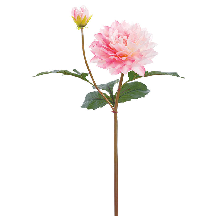 22" Real Touch Dahlia Silk Flower Stem -Pink/Cream (Pack of 12) - FSD622-PK/CR