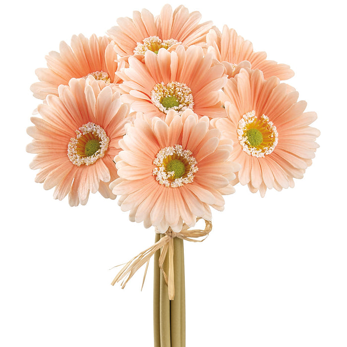 13" Gerbera Daisy Silk Flower Bouquet -Peach (Pack of 12) - FSD702-PE