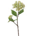20" Dogwood Seed Artificial Flower Stem -Green/Cream (pack of 12) - FSD708-GR/CR