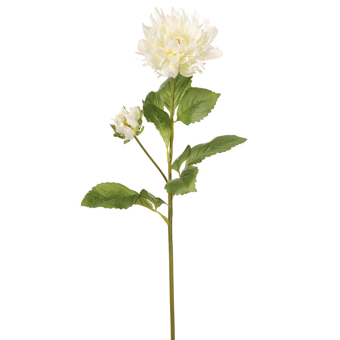 29.5" Silk Dahlia Flower Stem -Cream (pack of 12) - FSD722-CR