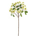 28" Dogwood Blossom Silk Flower Stem -Green (Pack of 12) - FSD825-GR