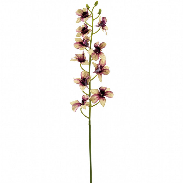 29" Real Touch Dendrobium Orchid Silk Flower Stem -Green/Plum (Pack of 12) - FSD921-GR/PL