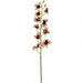 29" Real Touch Dendrobium Orchid Silk Flower Stem -Green/Plum (Pack of 12) - FSD921-GR/PL