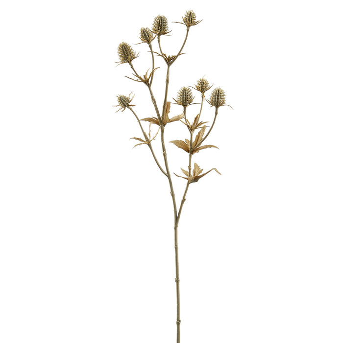 20" Artificial Eryngium Flower Stem -Beige (pack of 12) - FSE006-BE