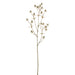 24" Artificial Eryngium Flower Stem -Beige (pack of 12) - FSE007-BE