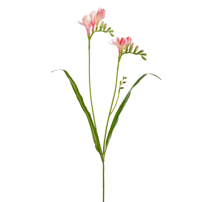 24" Freesia Silk Flower Stem -Pink (Pack of 12) - FSF129-PK