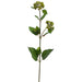27" Silk Meadow Flower Spray -Green (pack of 24) - FSF217-GR