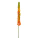 33" Eremurus Foxtail Lily Silk Flower Stem -Orange/Green (pack of 12) - FSF346-OR/GR