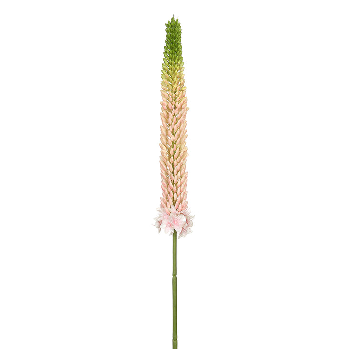 33" Eremurus Foxtail Lily Silk Flower Stem -Pink/Green (pack of 12) - FSF346-PK/GR