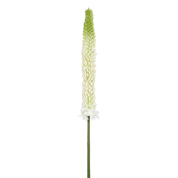 33" Eremurus Foxtail Lily Silk Flower Stem -White/Green (pack of 12) - FSF346-WH/GR