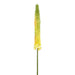33" Eremurus Foxtail Lily Silk Flower Stem -Yellow/Green (pack of 12) - FSF346-YE/GR