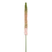 44" Eremurus Foxtail Lily Silk Flower Stem -Pink/Green (pack of 12) - FSF347-PK/GR