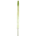 51" Eremurus Foxtail Lily Silk Flower Stem -White/Green (pack of 12) - FSF348-WH/GR