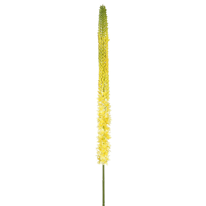 51" Eremurus Foxtail Lily Silk Flower Stem -Yellow/Green (pack of 12) - FSF348-YE/GR