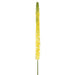 51" Eremurus Foxtail Lily Silk Flower Stem -Yellow/Green (pack of 12) - FSF348-YE/GR