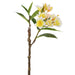 28" Frangipani Plumeria Silk Flower Stem -Cream/Yellow (pack of 12) - FSF349-CR/YE
