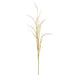 42" Blooming Foxtail Grass Silk Flower Stem -Cream (Pack of 12) - FSF689-CR