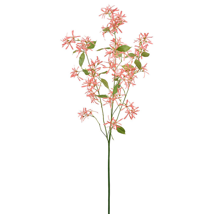 54.5" Fringetree Blossom Silk Flower Stem -Coral (Pack of 6) - FSF847-CO