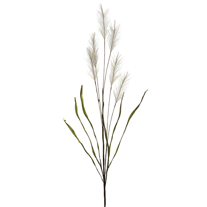 36" Blooming Artificial Pampas Grass Stem -Beige (pack of 12) - FSG036-BE