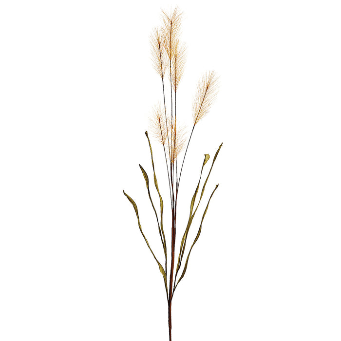 36" Blooming Artificial Pampas Grass Stem -Tan (pack of 12) - FSG036-TN