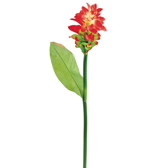 35" Ginger Silk Flower Stem -2 Tone Red (pack of 12) - FSG050-RE/TT