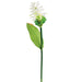 35" Ginger Silk Flower Stem -White (pack of 12) - FSG050-WH