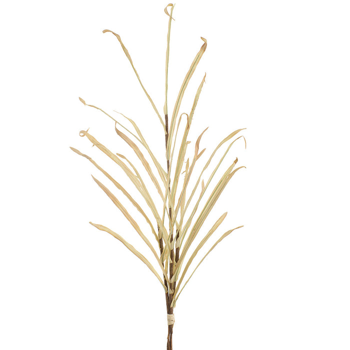 37" Dried-Look Artificial Grass Stem Bundle -Beige (Pack of 24) - FSG055-BE