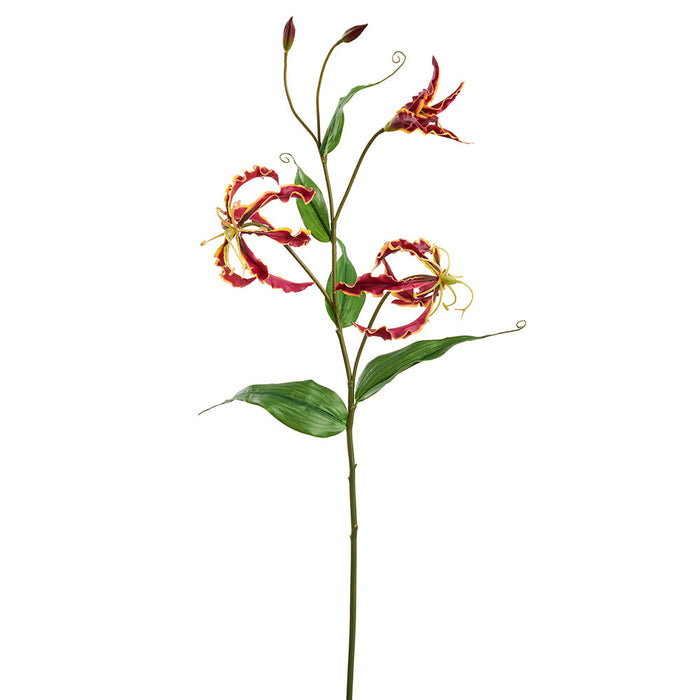 30" Silk Gloriosa Lily Flower Stem -Burgundy (pack of 12) - FSG103-BU