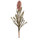 33.5" Dried-Look Artificial Ginger Flower Stem -Light Brown (pack of 6) - FSG111-BR/LT