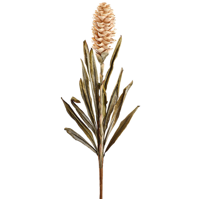 33.5" Dried-Look Artificial Ginger Flower Stem -Tan (pack of 6) - FSG111-TN