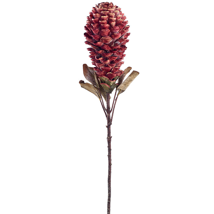 33" Dried-Look Artificial Ginger Flower Stem -Purple/Burgundy (pack of 6) - FSG112-PU/BU