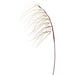 46" Artificial Trailing Pampas Grass Stem -Beige (pack of 12) - FSG148-BE